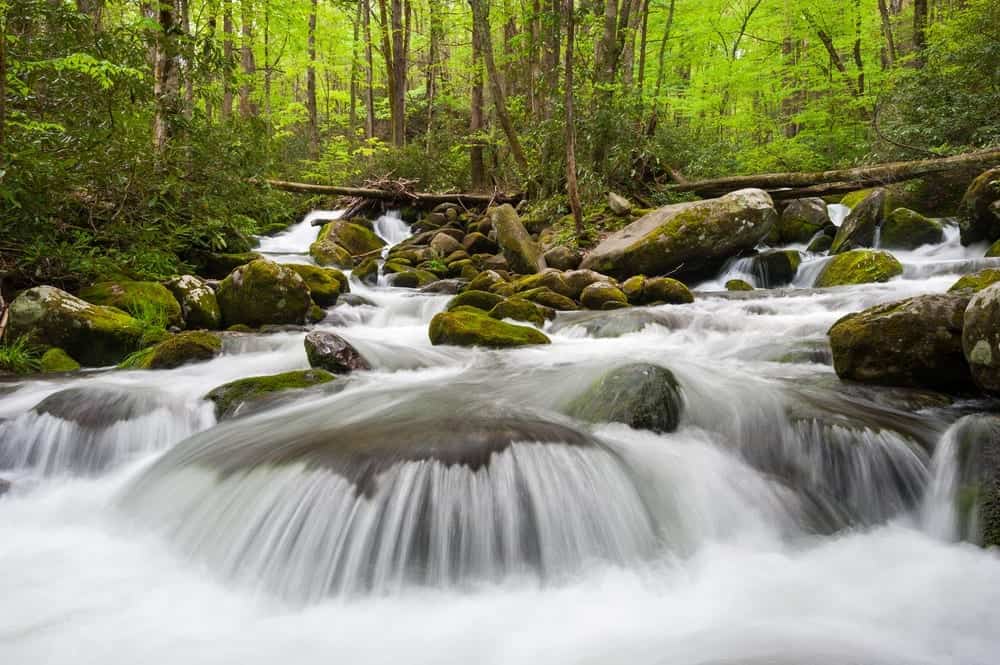 Rushing water at the Roaring Fork Motor Nature Trail in the Smoky Mountains.