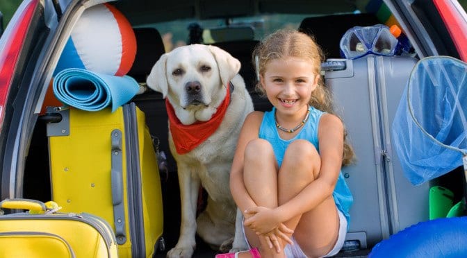 4 Reasons to Take Your Pet on Vacation