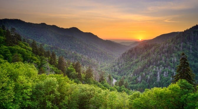 6 Fun Facts About the Great Smoky Mountains