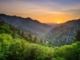 6 Fun Facts About the Great Smoky Mountains