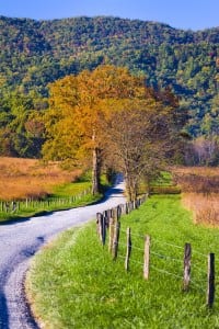 Secluded road in Cades Cove