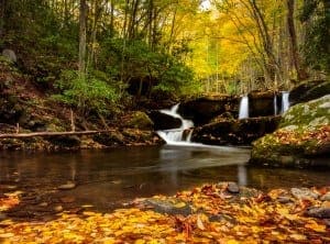 river in the Smoky Mountains in fall