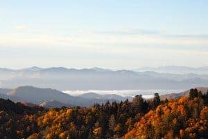 view of fall in the Great Smoky Mountains