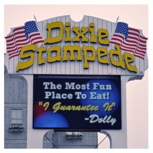 Dixie Stampede Dinner Show in Pigeon Forge