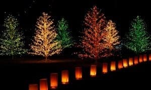 Christmas lights in downtown Gatlinburg for Gatlinburg Winterfest Kickoff
