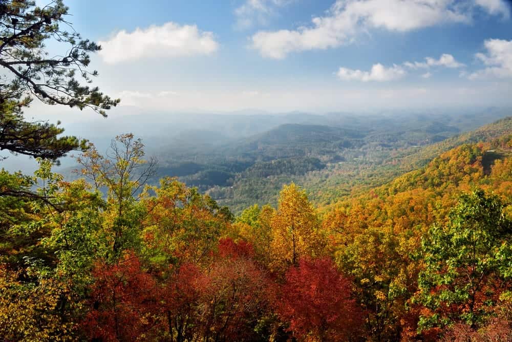 Beautiful photo of fall in the Smoky Mountains.