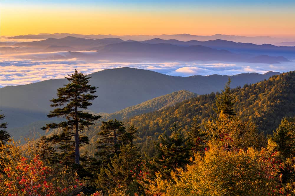 view from clingmans dome in the fall