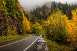 newfound gap road in the fall in the smoky mountains