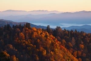 Fall leaves in the Smoky Mountains.