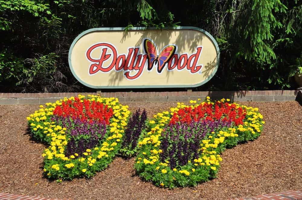 dollywood sign with a butterfly made of out plants