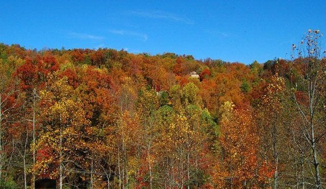 3 Groups Who Will Love Staying in Large Group Cabins in Pigeon Forge TN