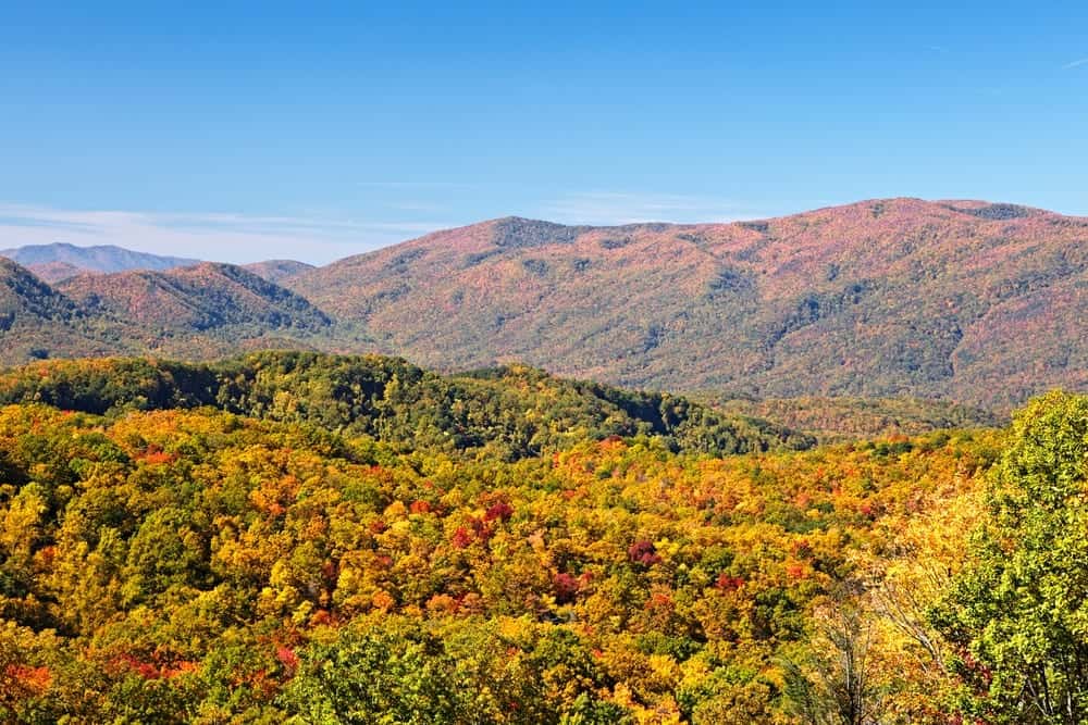 Breathtaking fall colors in the mountains near Gatlinburg TN.