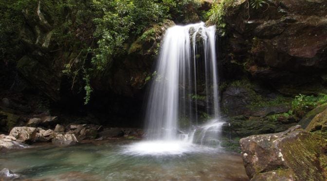 Top 5 Waterfalls in the Smoky Mountains You’ll Want to See