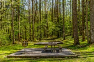 picnic area in the smoky mountains