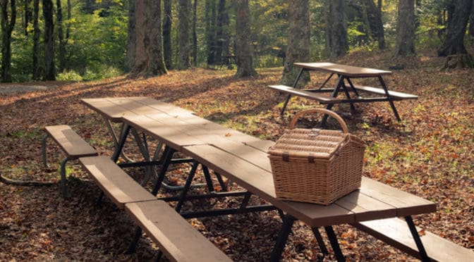 Top 6 Smoky Mountain Picnic Areas You Should Visit