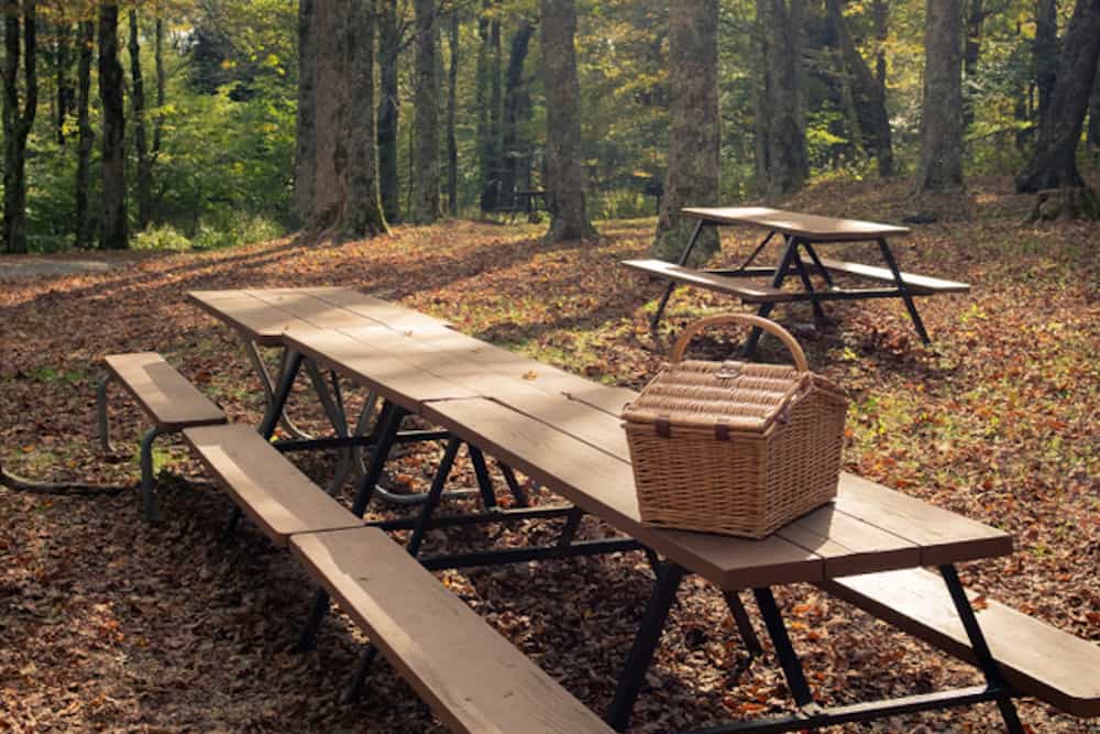 picnic table with basket smoky mountains